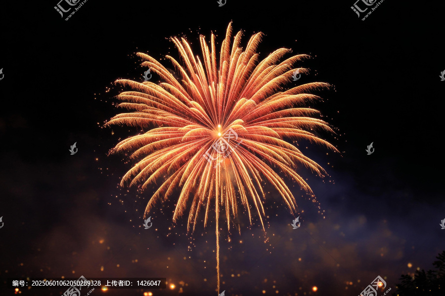 夜空中絢麗的煙花表演