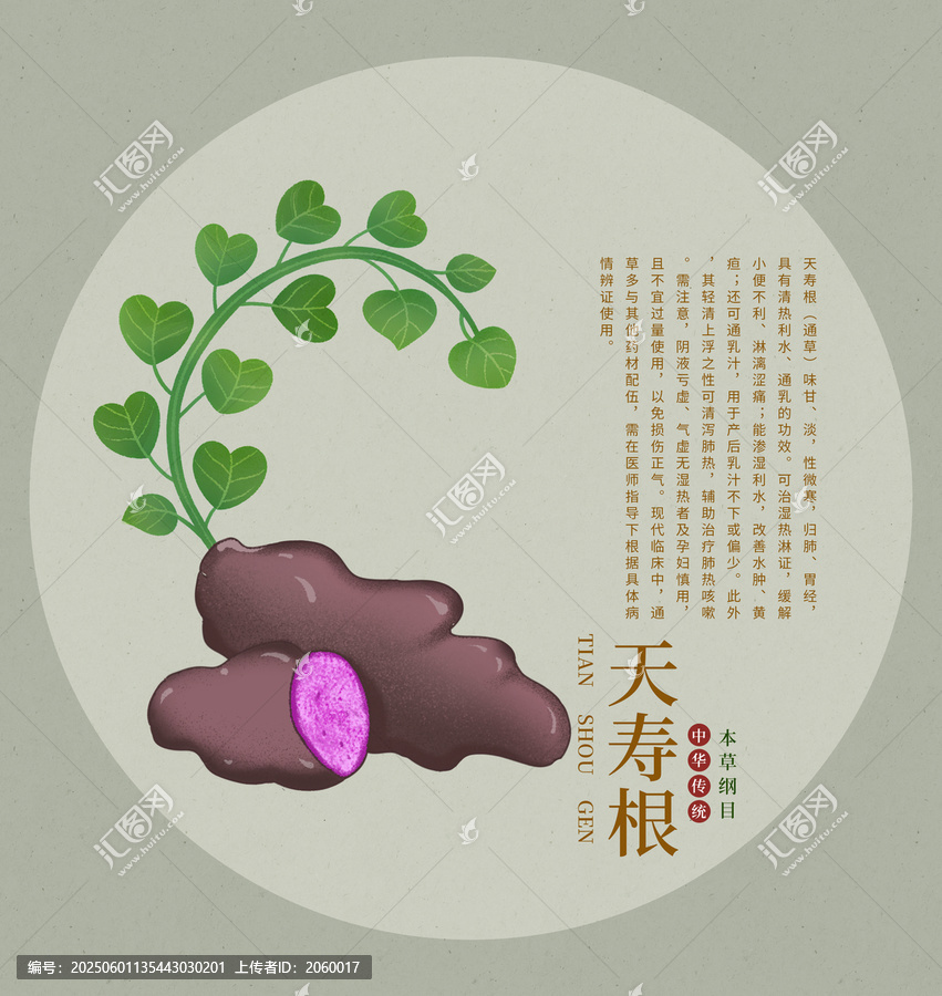 天壽根手繪插畫中草藥本草綱目圖鑒