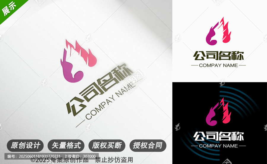 多彩火焰飛鳥(niǎo)鷹絢麗創(chuàng)新創(chuàng)意設(shè)計(jì)娛樂(lè)行業(yè)