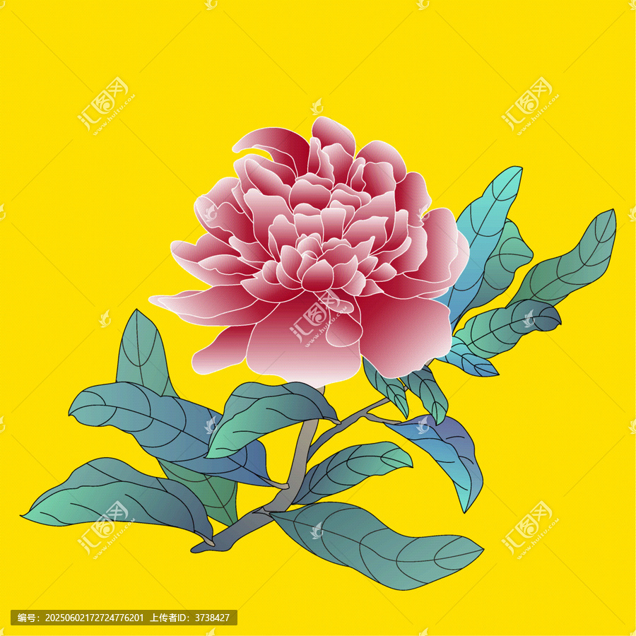 手繪粉色牡丹花卉圖