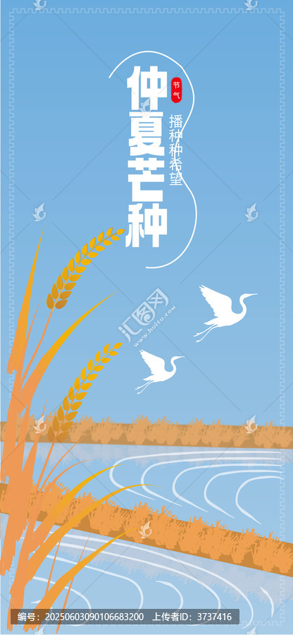 芒種時(shí)節(jié)的田野與飛鳥(niǎo)