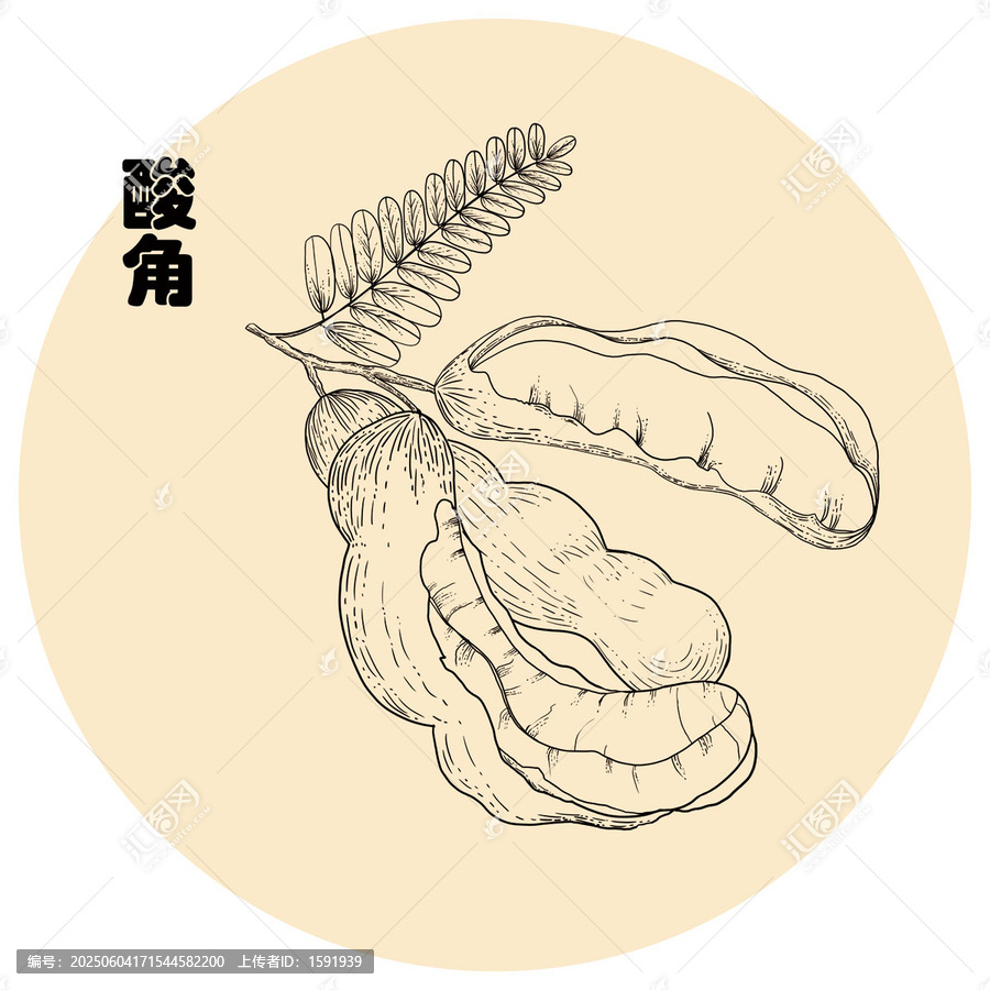 手繪酸角線稿