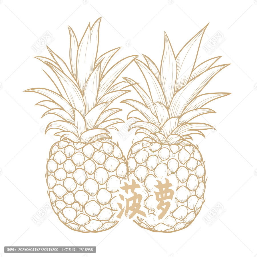 手繪雙菠蘿圖案素材