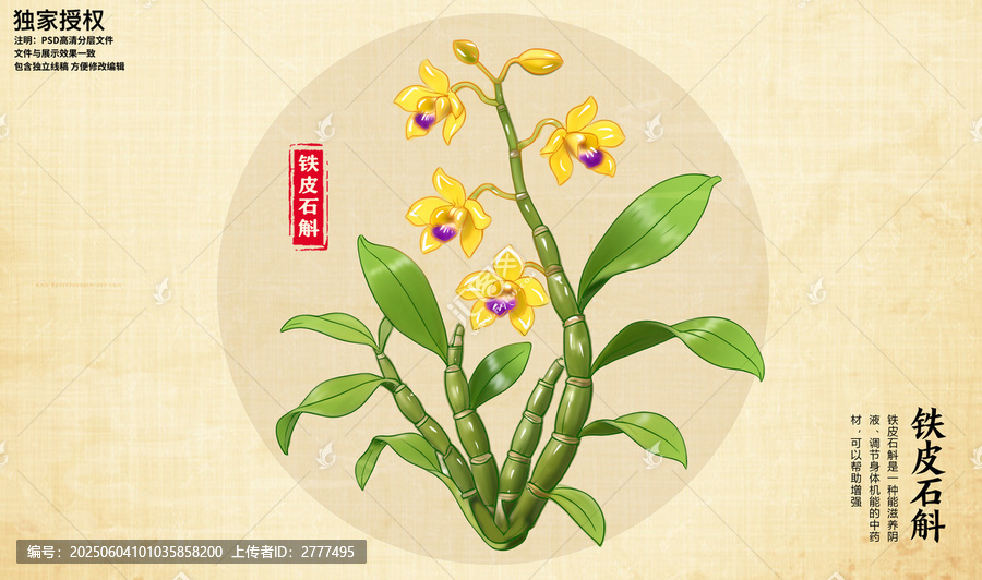 鐵皮石斛