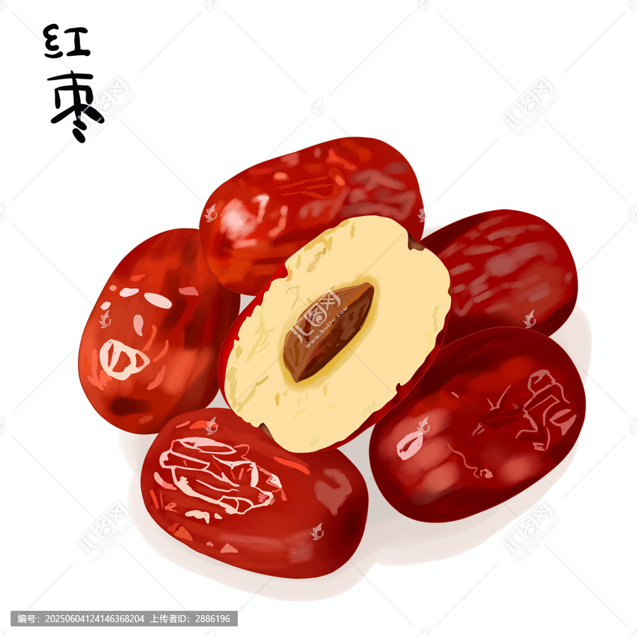 紅棗棗子手繪插畫