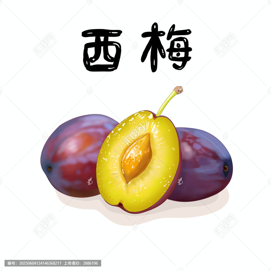 切開的西梅新疆法蘭西梅水果包裝手繪插畫