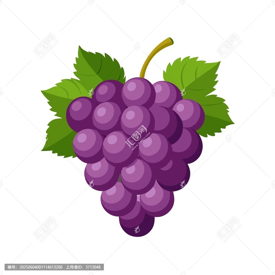 卡通風(fēng)格紫色葡萄插畫