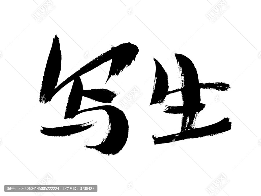 手寫(xiě)書(shū)法字體寫(xiě)生