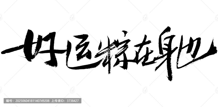 手寫書法好運(yùn)粽在身邊