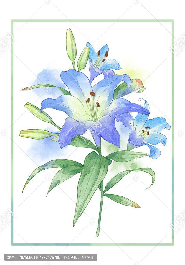 百合花