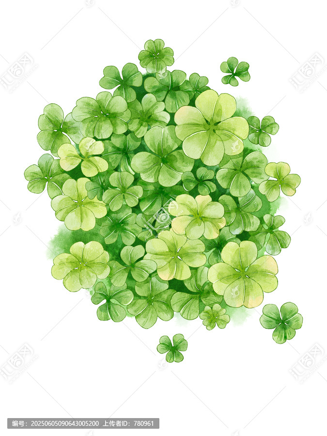 四葉草