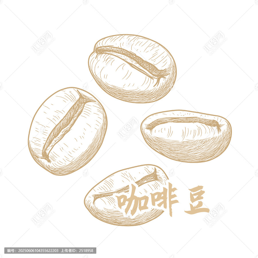 手繪風(fēng)格咖啡豆插畫素材