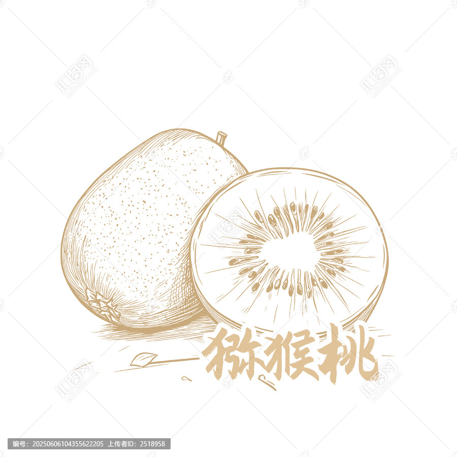 手繪風(fēng)格獼猴桃插畫