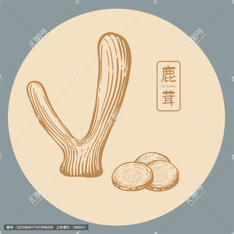 鹿茸插畫手繪