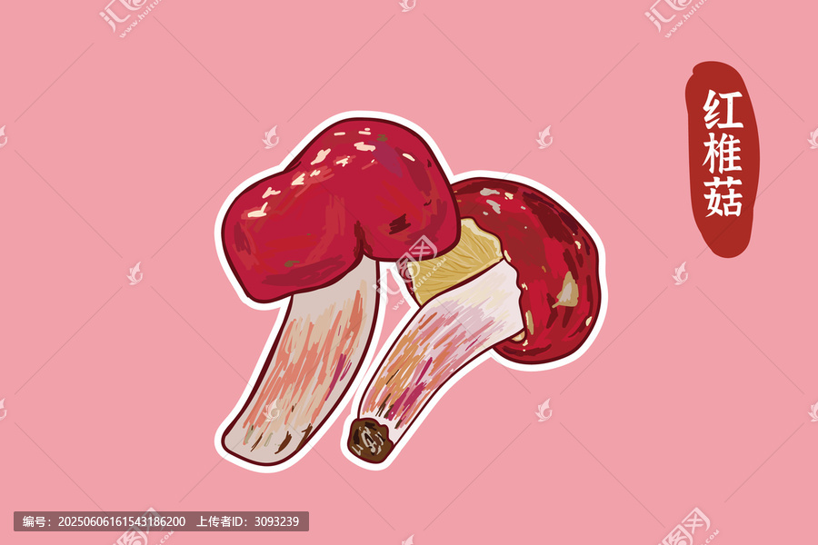 手繪紅椎菇