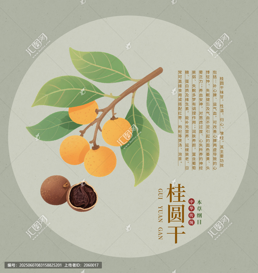 手繪古風桂圓干插畫