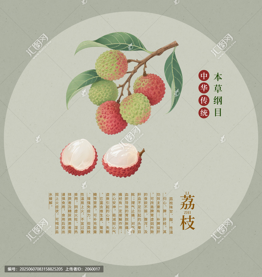 傳統(tǒng)風(fēng)荔枝本草綱目插畫