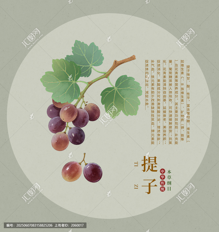 葡萄手繪提子插畫圖案