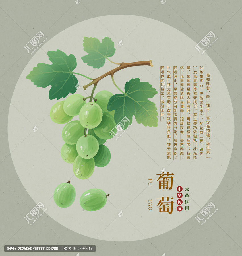 清新手繪風(fēng)青葡萄圖