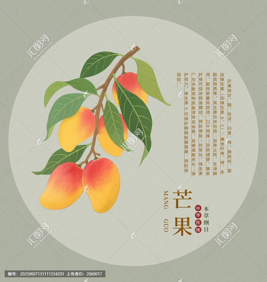 手繪芒果插畫
