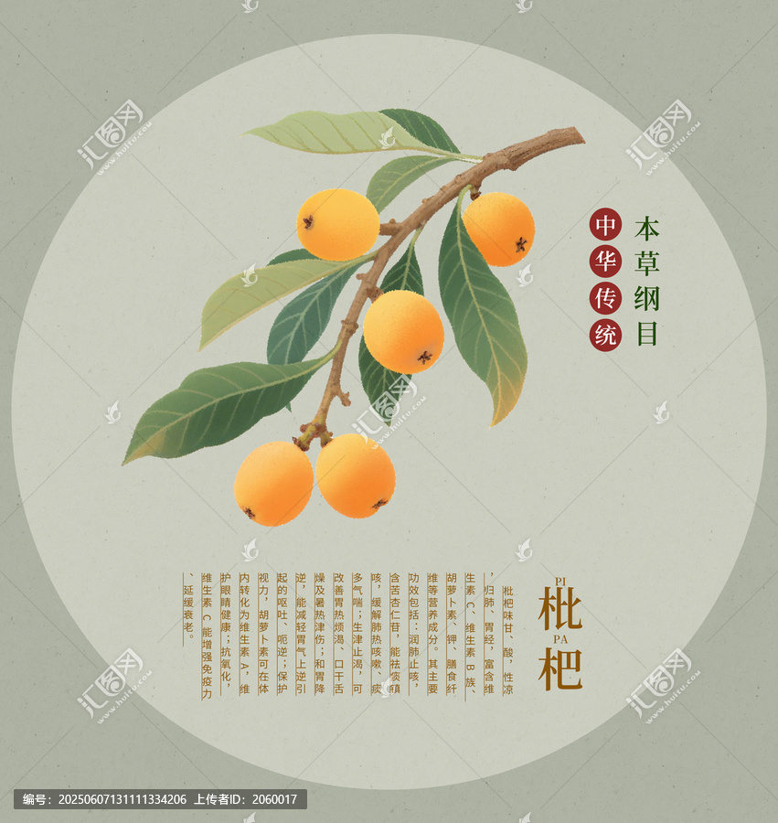 傳統(tǒng)風(fēng)格枇杷插畫圖