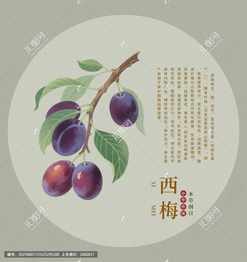 手繪西梅插畫元素