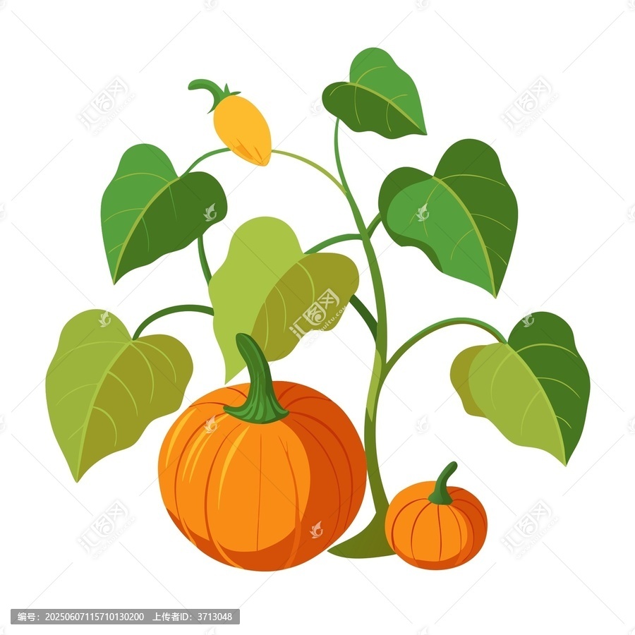 卡通風(fēng)格的南瓜植株插畫