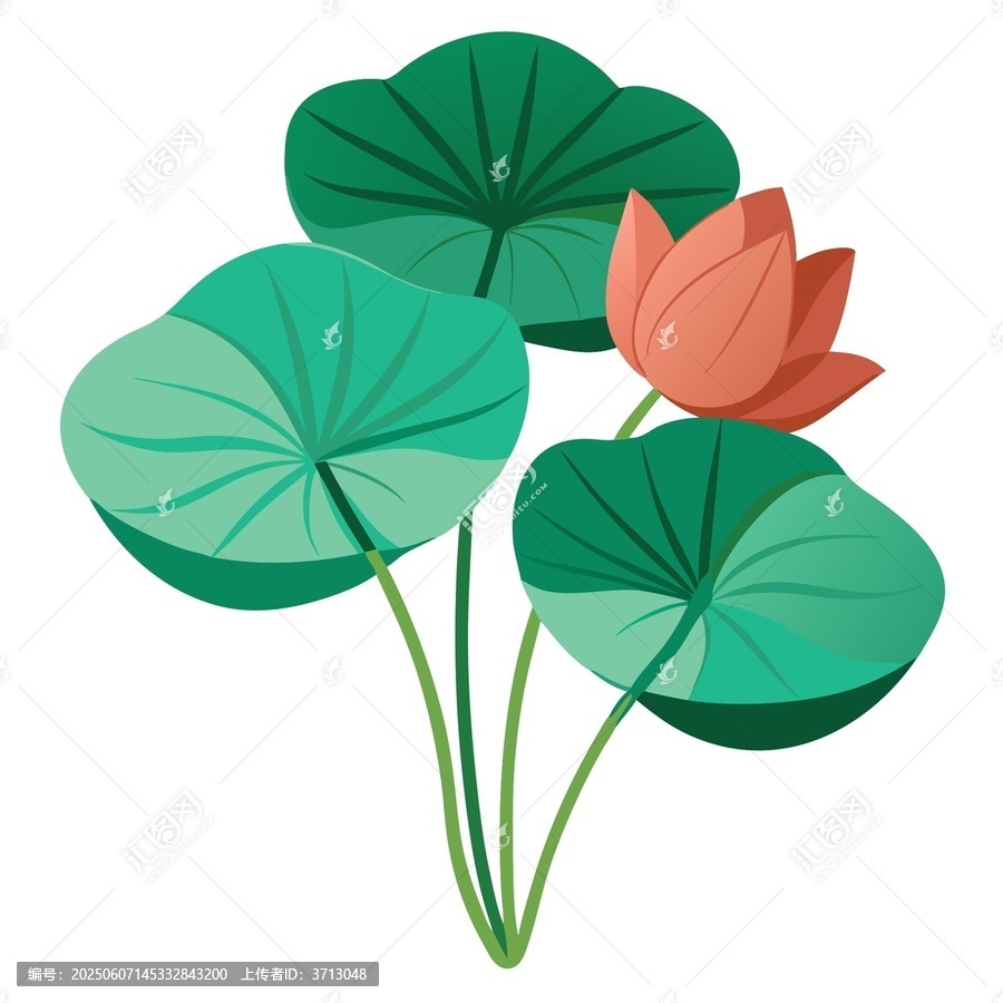 簡(jiǎn)約風(fēng)荷花與荷葉插畫