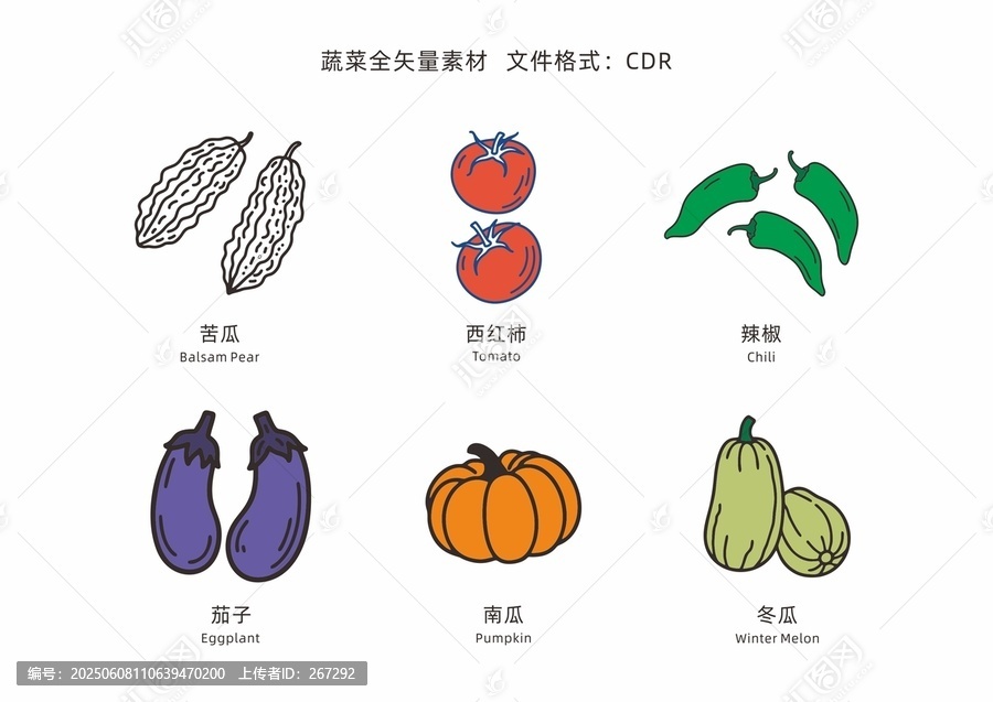多種蔬菜矢量素材圖