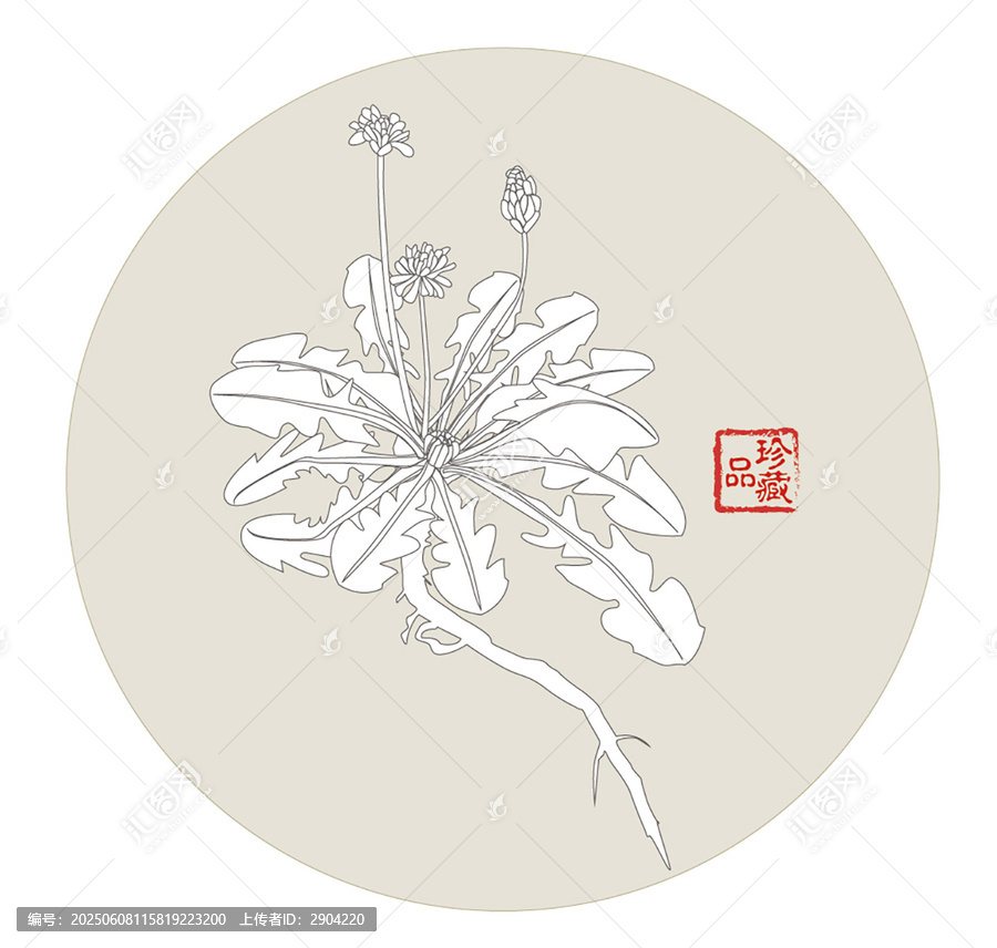 蒲公英手繪元素素材