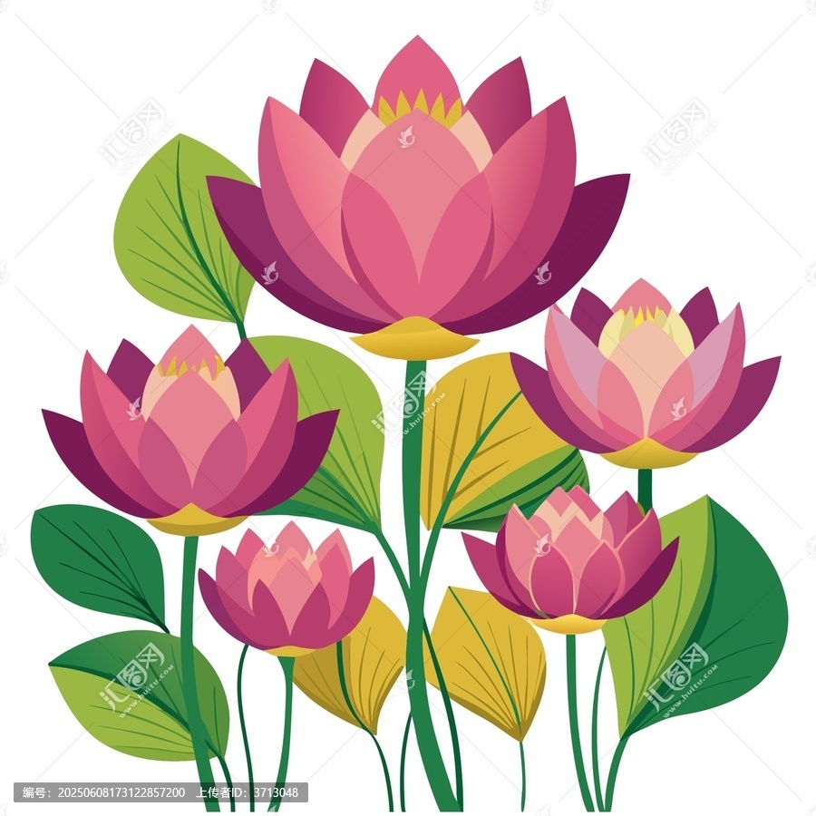 手繪風粉色蓮花插畫