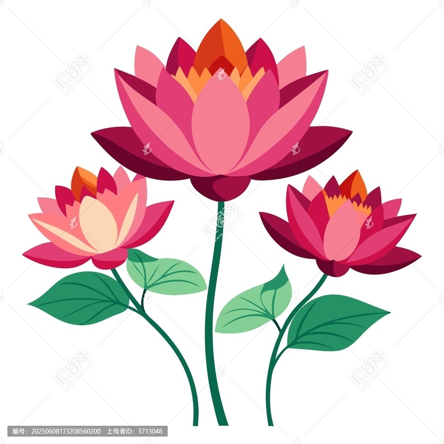 三朵絢麗綻放的卡通蓮花