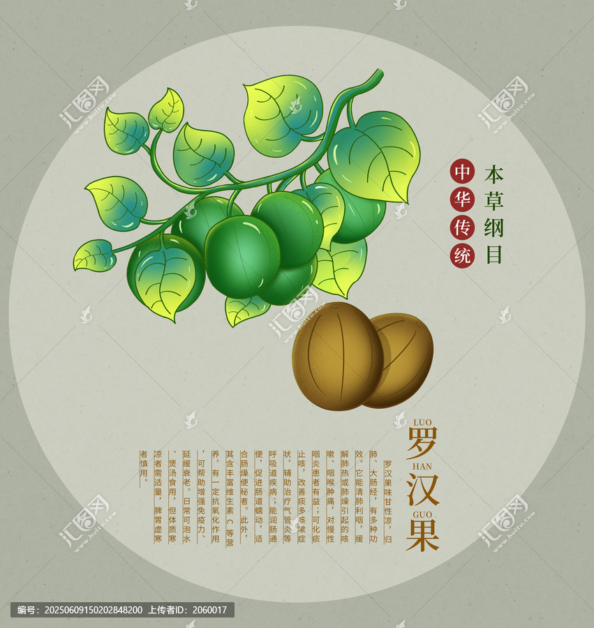 傳統(tǒng)羅漢果本草綱目插畫