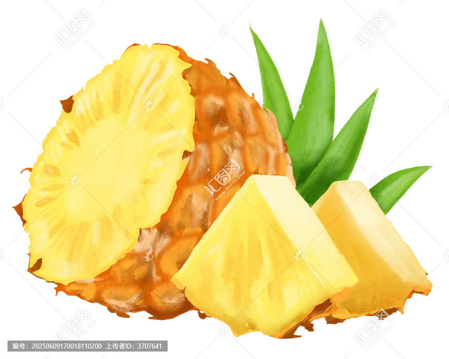 手繪菠蘿