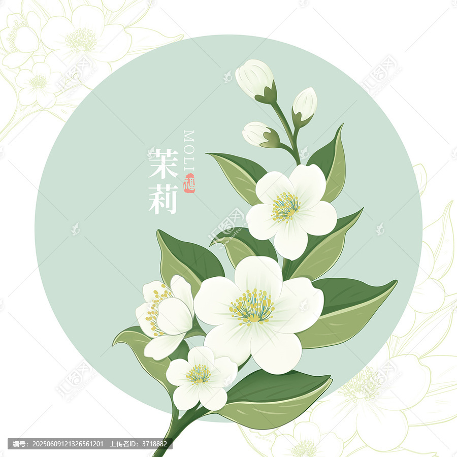 茉莉花線稿插畫矢量包裝禮盒圖案設(shè)計素材