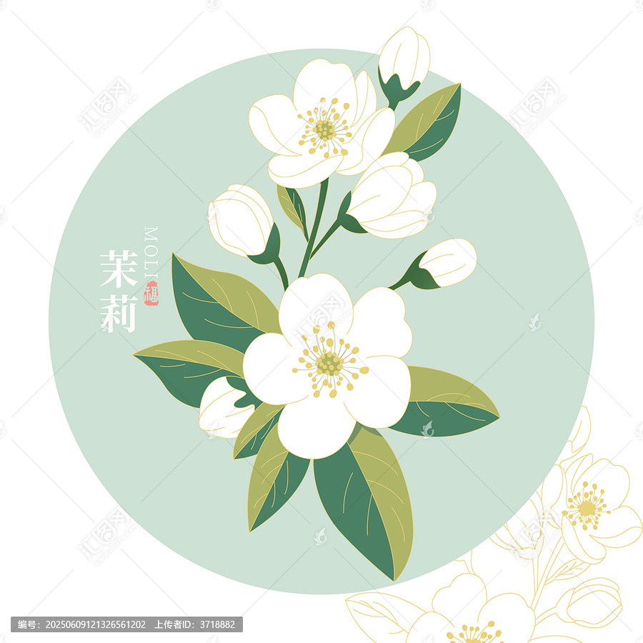 矢量清新茉莉花茶包裝設(shè)計(jì)創(chuàng)意插畫海報(bào)禮盒