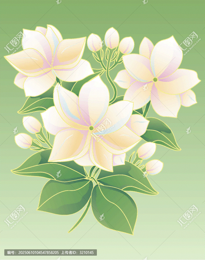 清新淡雅矢量茉莉花插畫