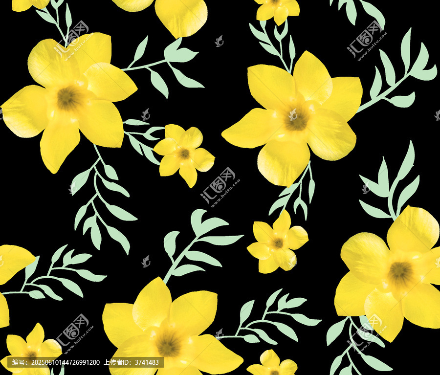 小黃花