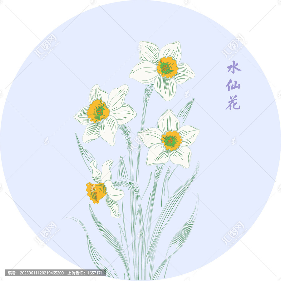 清新手繪風水仙花插畫矢量分層素材