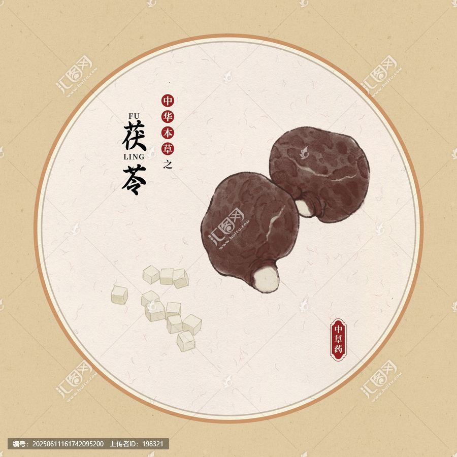 茯苓插圖