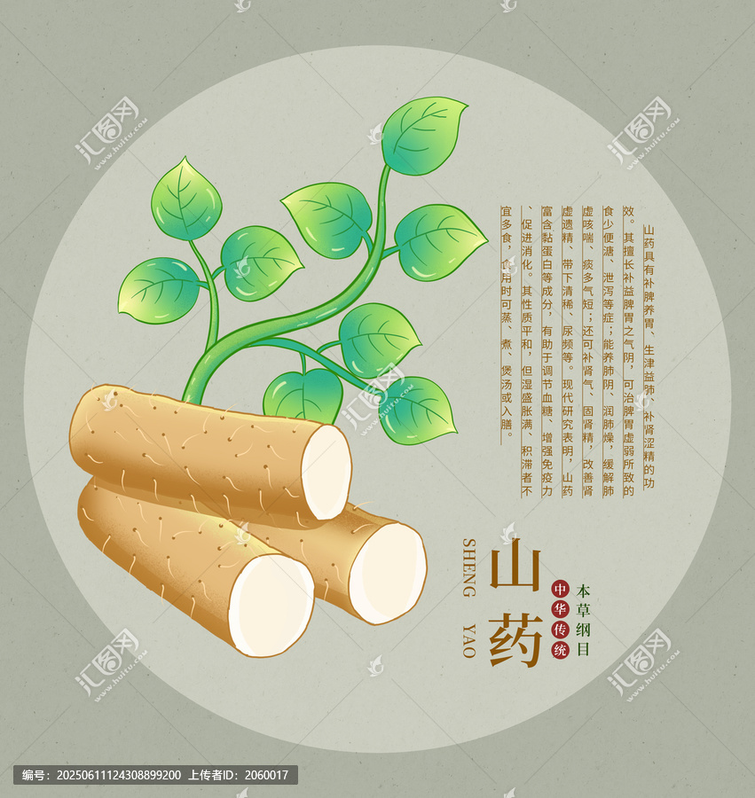 傳統(tǒng)中藥材山藥插畫圖