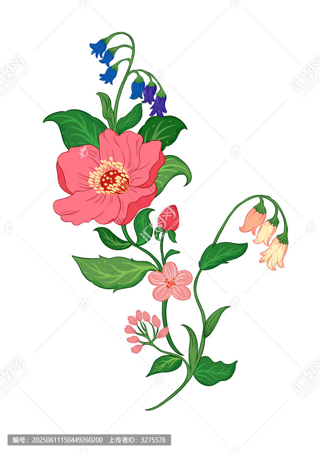 植物花草