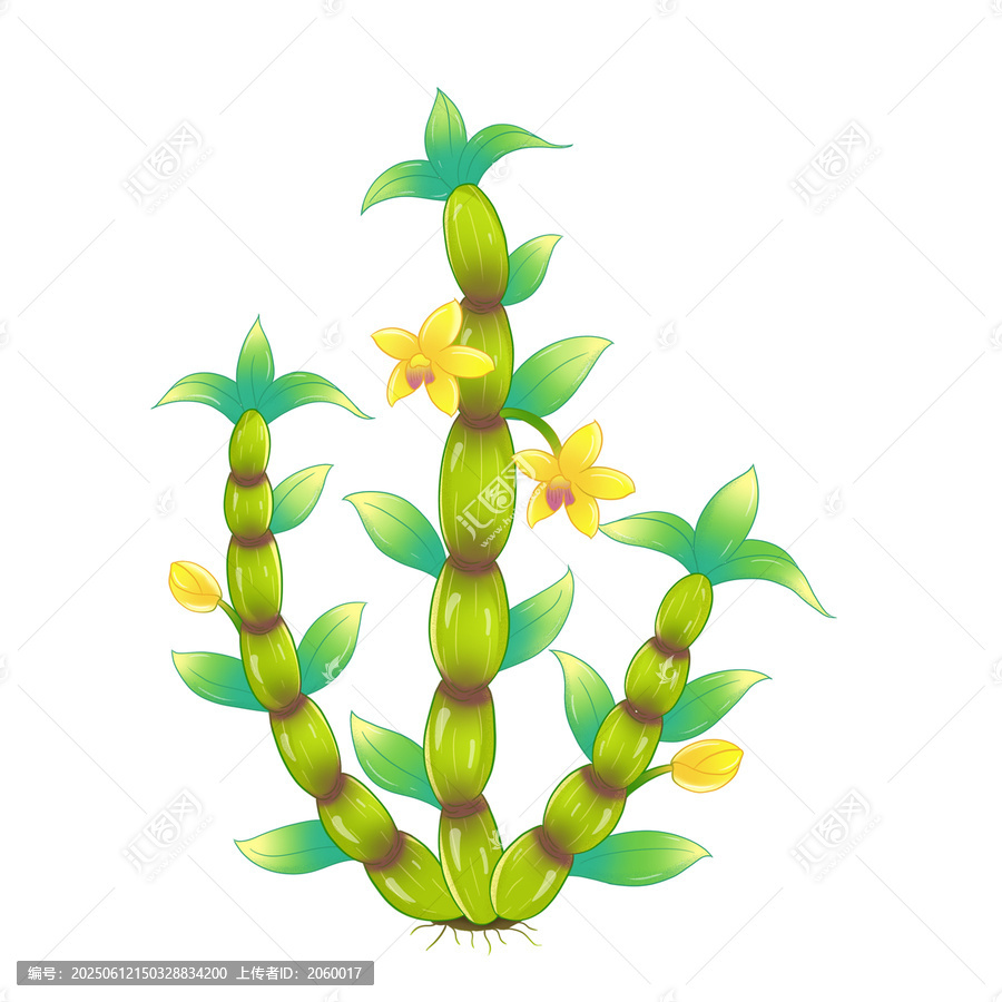 手繪清新石斛植物插畫