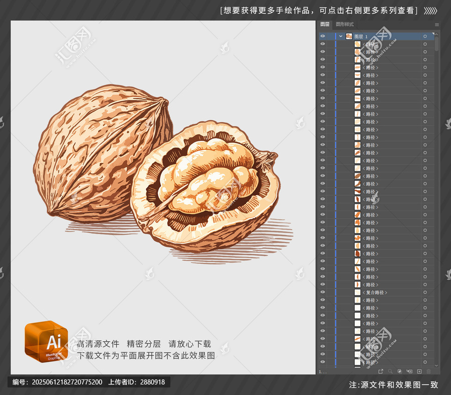 手繪寫實剝開的核桃插畫