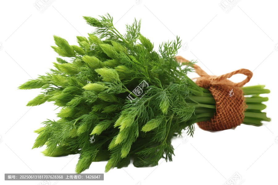 [免摳素材]一束新鮮歐芹捆綁著麻繩