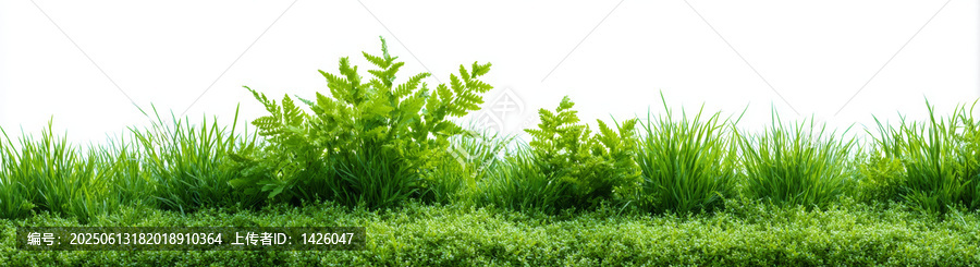 清新綠草植物邊框
