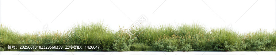 綠草地背景圖