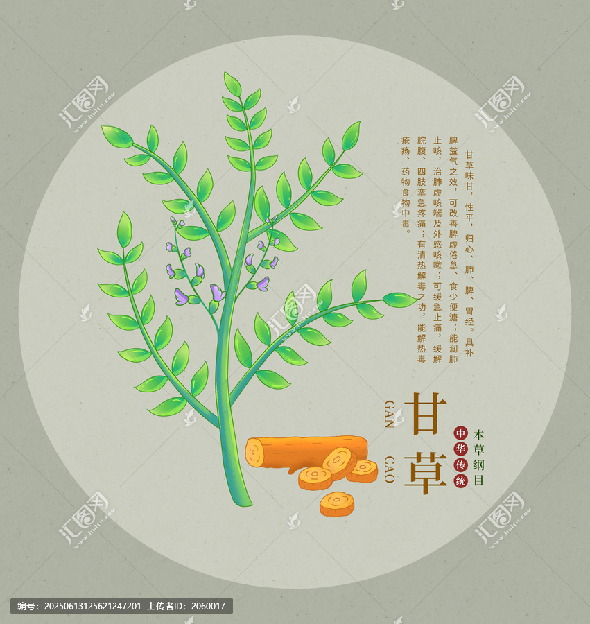 手繪傳統(tǒng)中藥材甘草圖