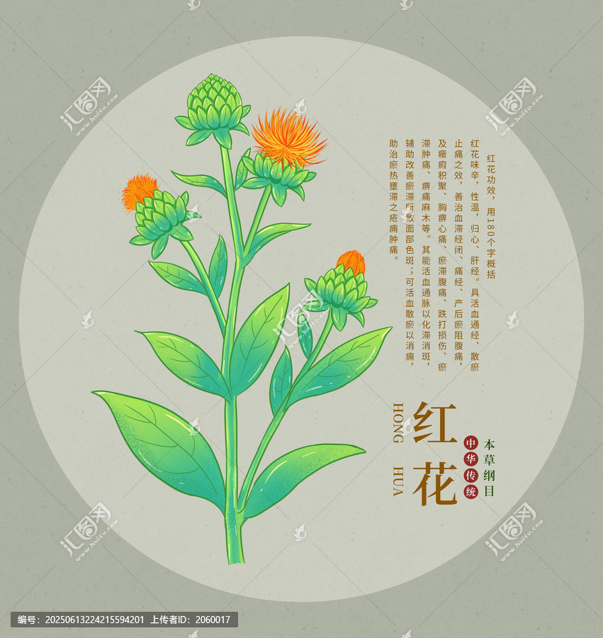 手繪紅花植物插畫