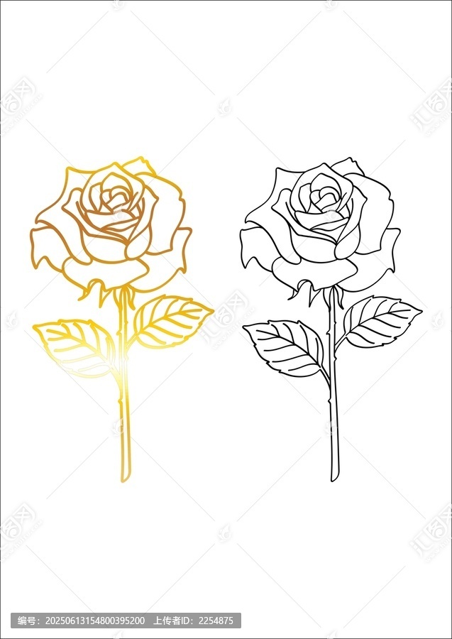 雙色線條玫瑰花圖案素材